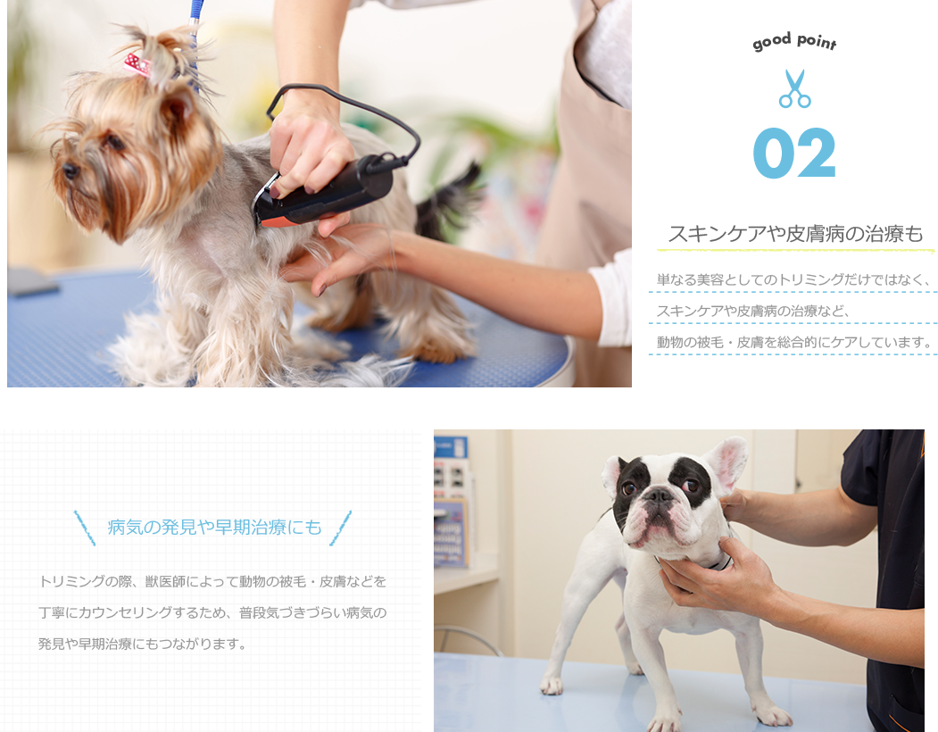 スキンケアや皮膚病の治療も